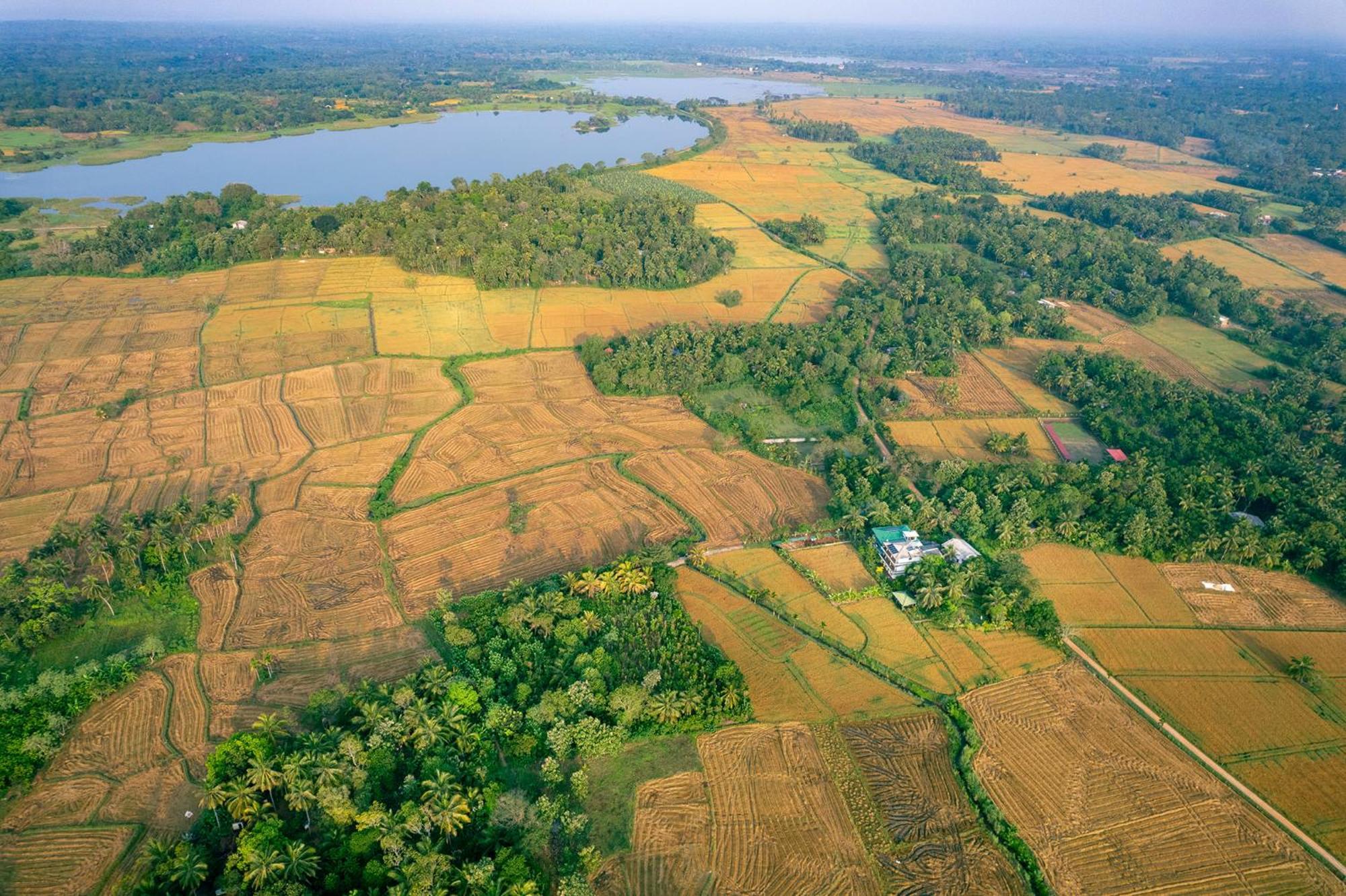 Mailagama Cinnamon Residence Kataragama Luaran gambar