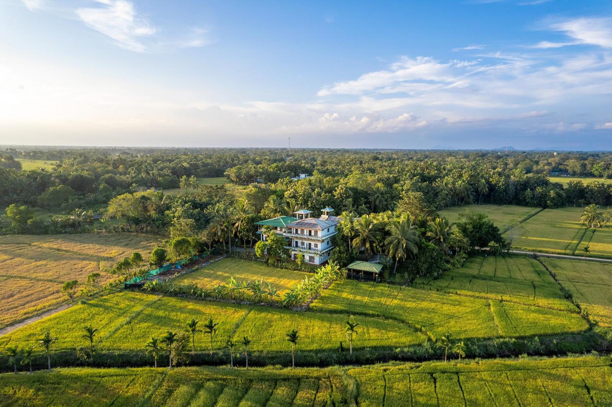 Mailagama Cinnamon Residence Kataragama Luaran gambar